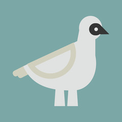 Dove vector icon illustration
