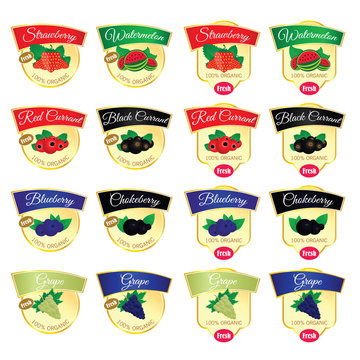 label of set fesh organic food illustration in colorful