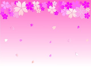 桜フレーム（上）ピンク背景