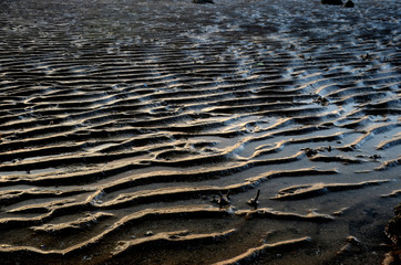sunset, sunrise sand wave
