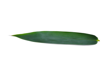 Bamboo leaf isolated on white background