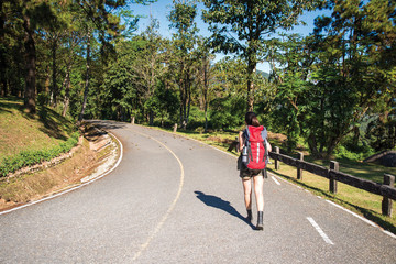 Naklejka premium Beautiful woman hiker standing on forest trail and looking away. Female with backpack on hike in nature..