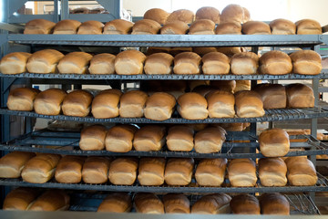Loaves of Bread in a Bakery