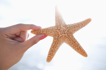 Woman holding starfish at the beach