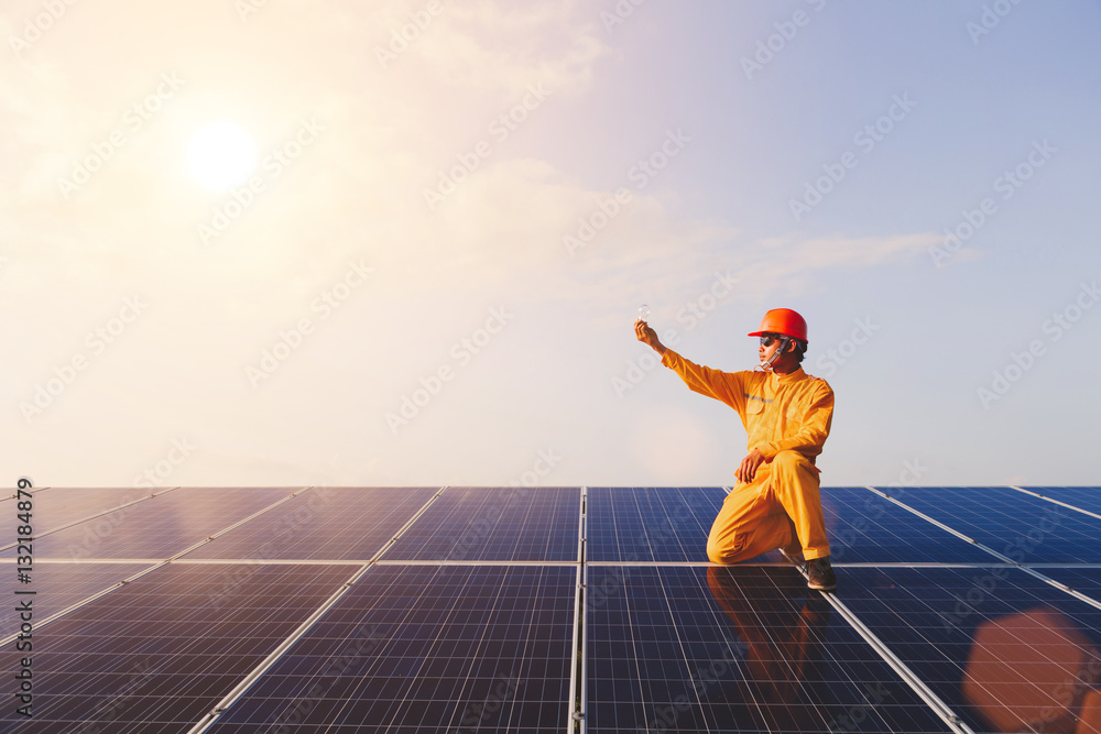 Wall mural engineers checking solar panels,holding the bulb on the solar pa