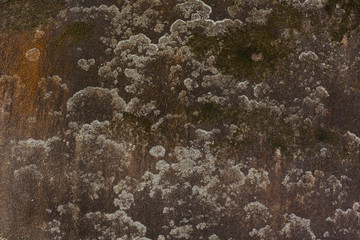 pattern of decorative white slate stone wall surface