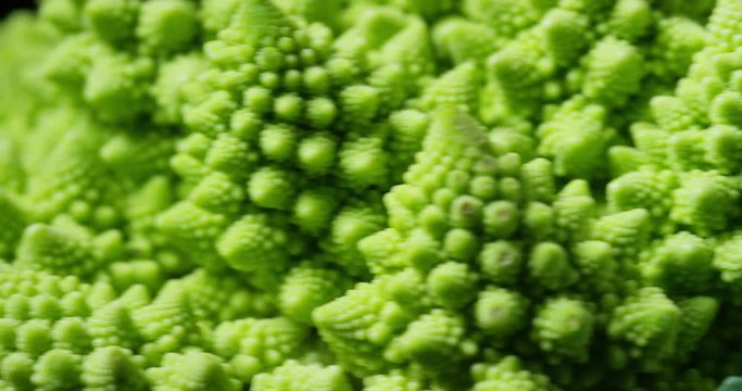 Extreme macro of fresh cabbage Roman Italian, strange and precise concept of nature into geometric shapes of nature. concept of biological and fancy food.