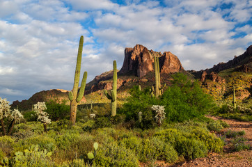 Carney Springs Trail in the Supersttion Mountain Wilderness of Arizona is beautiful, but very steep and boulder-choked.