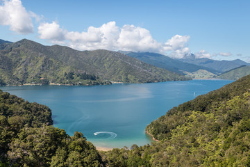 Fototapeta premium aerial view of Queen Charlotte Sound, New Zealand