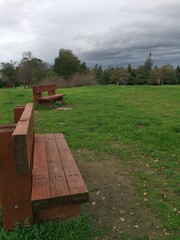 wooden park benches