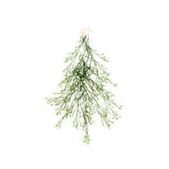 Fir-tree made of wildflowers. Flat lay, top view. Christmas or New Year background.