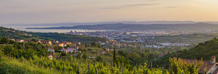 panorama of the surrounding area of Koper, Slovenia, vineyards a
