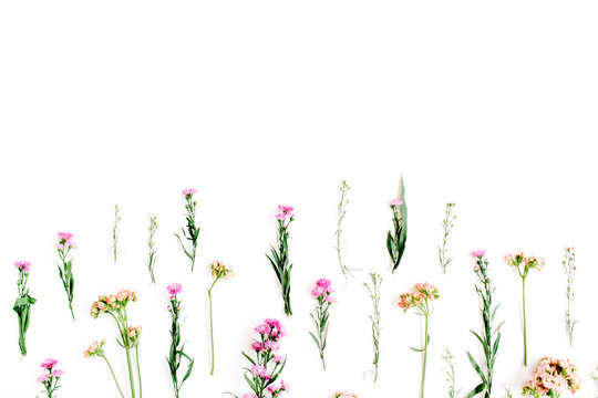 Colorful wildflowers on white background. Flat lay, top view. Valentine's background