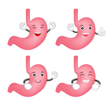 Stomach Cartoon Images – Browse 26,766 Stock Photos, Vectors, and Video |  Adobe Stock