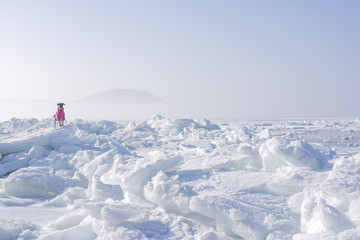 Fototapeta na wymiar Icy sea in the far north. Lonely dog on ice