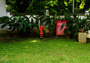 A red hydrant box in the middle of green grassy garden photo taken in Semarang Indonesia