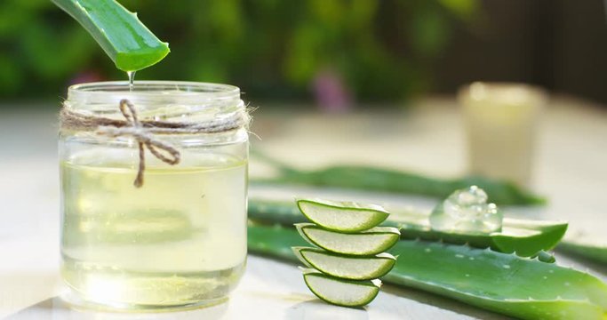Composition of aloe vera. Concept of beauty cream derived from Aloe, natural medicine and care for the body due to its therapeutic properties, lifting, rejuvenation and Nature