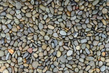 Pebbles on the ground, background.