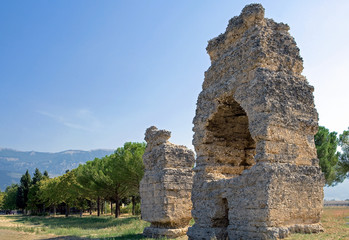 Naklejka premium Corfinio