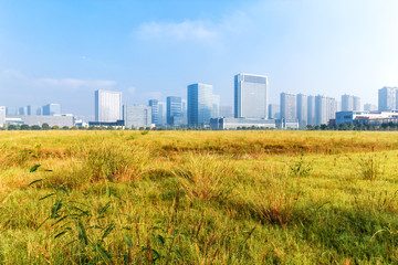cityscape and skyline of modern city from meadow