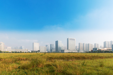 cityscape and skyline of modern city from meadow
