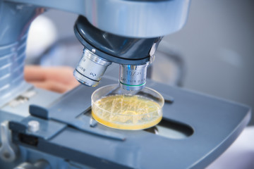 Coronavirus research. Microscope close-up of scientist hands examining samples 