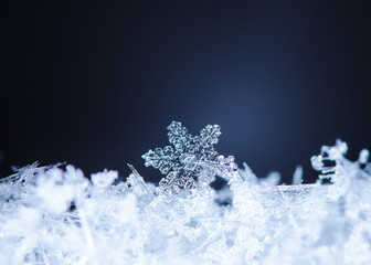 natural snowflakes on snow, photo real snowflakes during a snowfall, under natural conditions at...