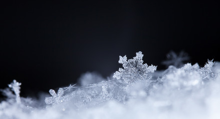 natural snowflakes on snow, photo real snowflakes during a snowfall, under natural conditions at low temperature