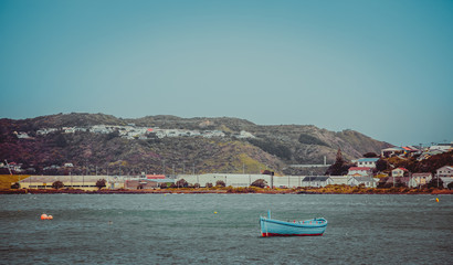 Landscape of Wellington, New Zealand © YiuCheung