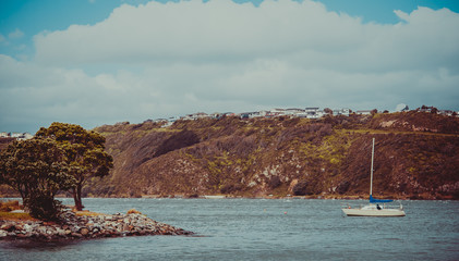 Landscape of Wellington, New Zealand © YiuCheung