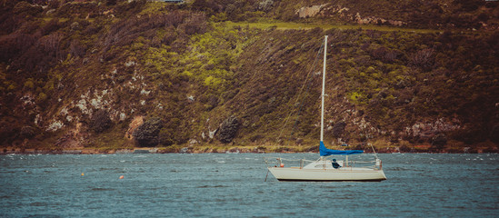 Landscape of Wellington, New Zealand © YiuCheung