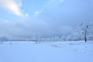 樹氷の風景・白銀の世界