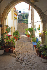 Fototapeta na wymiar rural houses, yard and flower pots, Portugal