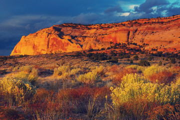 Utah landscapes