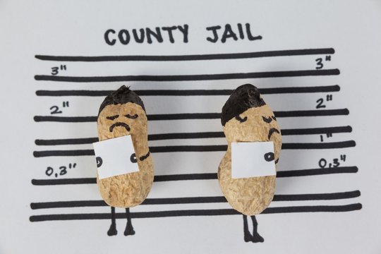 Two peanut figurines in county jail