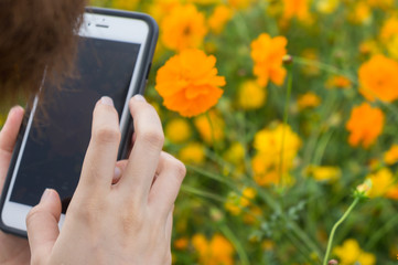 A women take photo by smartphone with flower in flower garden.