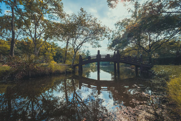 Fototapeta na wymiar River bridge in autumn park