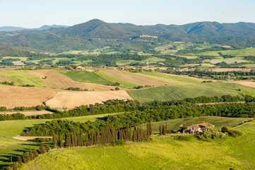 Fototapeta na wymiar Bauernhof mit einer Zypressenallee im val di cecina