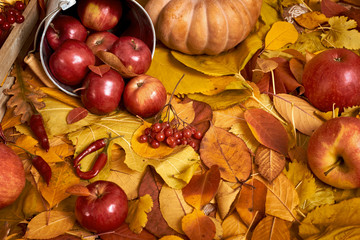 autumn background, fruits and vegetables on yellow fallen leaves, apples and pumpkin, decoration in country style, brown toned