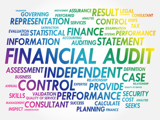 Financial Audit word cloud collage, business concept background