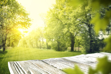 wooden table and spring time 