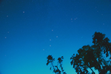 Silhouettes of the countryside with starry skies.
