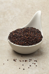 Black Quinoa in a white spoon