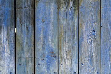 Blaue Holz Texture