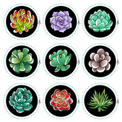 Stickers with succulents