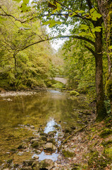 Obraz premium Noiraigue, Val de Travers, Jura, Areuse, Fluss, Areuseschlucht, Schlucht, Wald, Wanderweg, Waldweg, Herbst, Schweiz