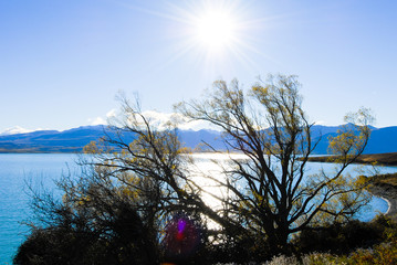 秋のテカポ湖（ニュージーランド）