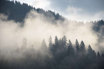Morgennebel bei Schoppernau