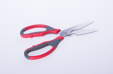 scissors or kitchen scissors on a background.