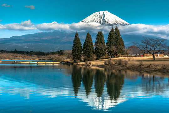 Lake Tanuki ,Shizuoka,Japan 